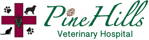 PineHills Veterinary Hospital