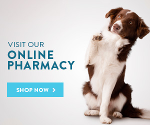 New Online Pharmacy